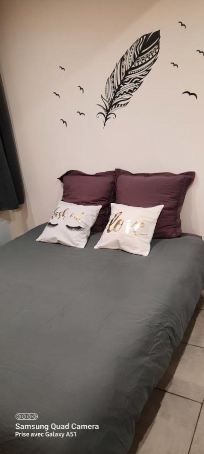 superbe appartement de 40m2 avec parking gratuit sur place Cuisery Extérieur photo